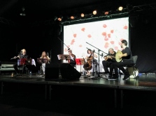 Concert Of Traditional Romanian Music