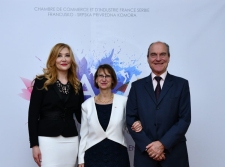 Grand Prix Of The French-Serbian Chamber Of Commerce