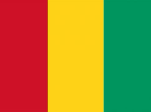 Guinea flag Gvineje